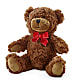 Adorable Plush Bear – Kenyon Ave Floral Co Inc, Wakefield RI