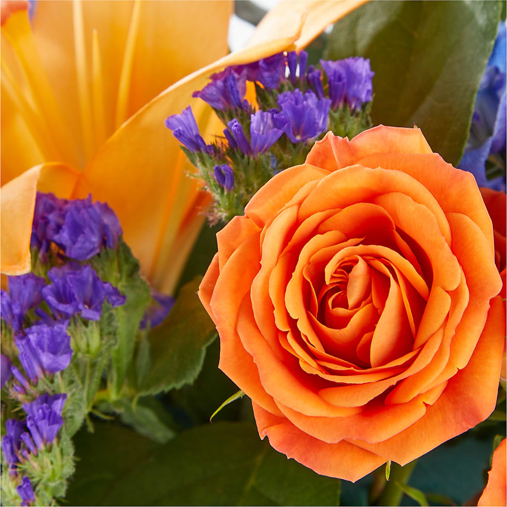 Radiant Citrus Box Bouquet – Kenyon Ave Floral Co Inc, Wakefield RI