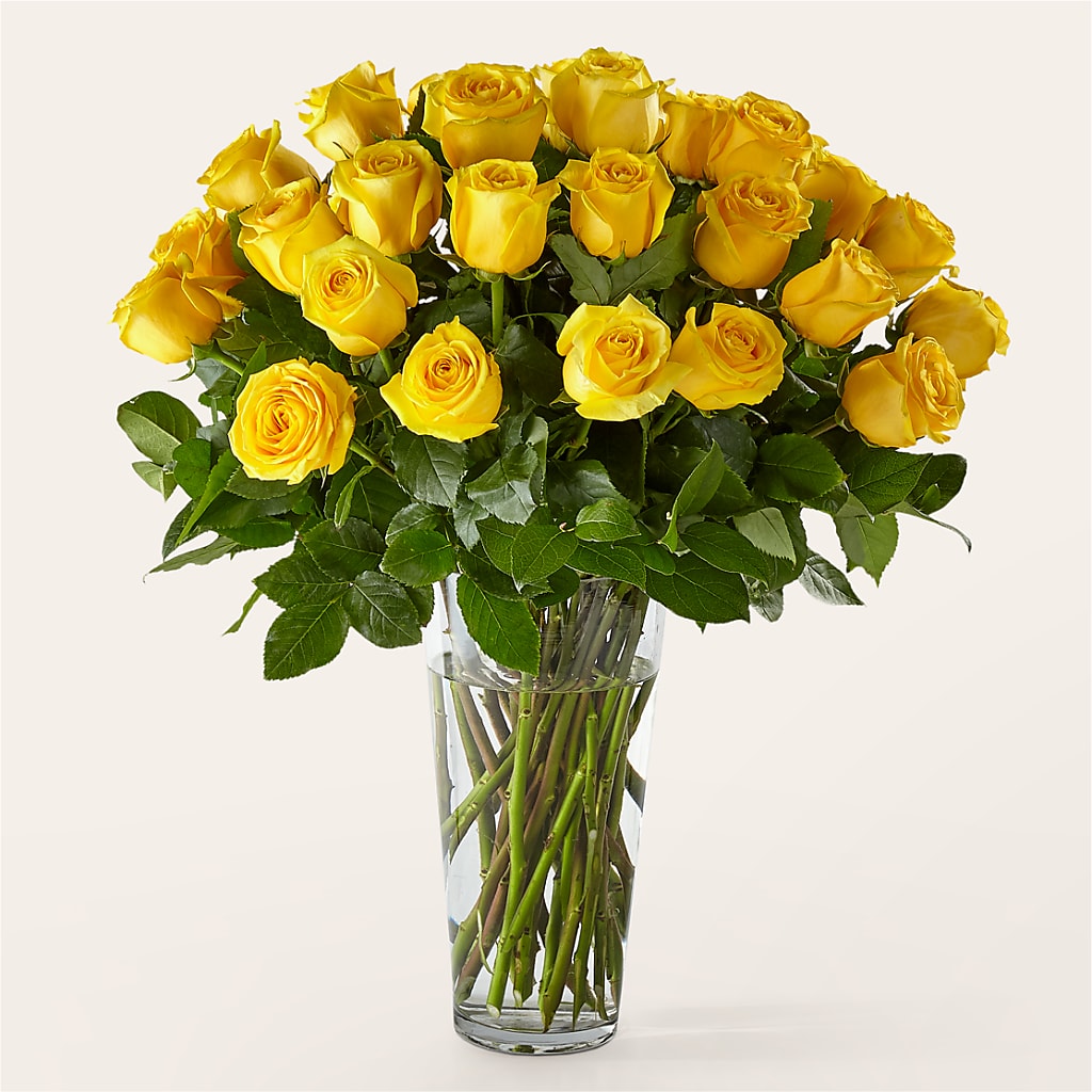 Long Stem Yellow Rose Bouquet – Kenyon Ave Floral Co Inc, Wakefield RI