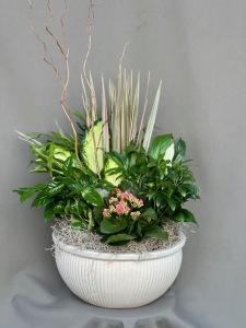 European Garden – Kenyon Ave Floral Co Inc, Wakefield RI