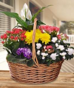 Blooming Garden Basket – Kenyon Ave Floral Co Inc, Wakefield RI