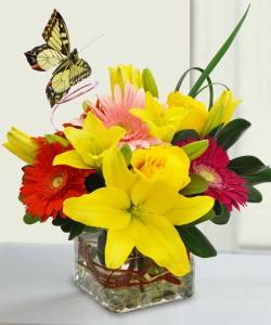 Bright & Cheery – Kenyon Ave Floral Co Inc, Wakefield RI