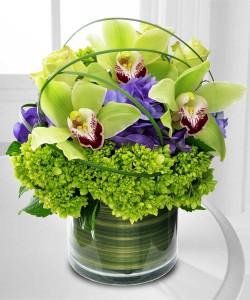 Cymbidium Delight – Kenyon Ave Floral Co Inc, Wakefield RI