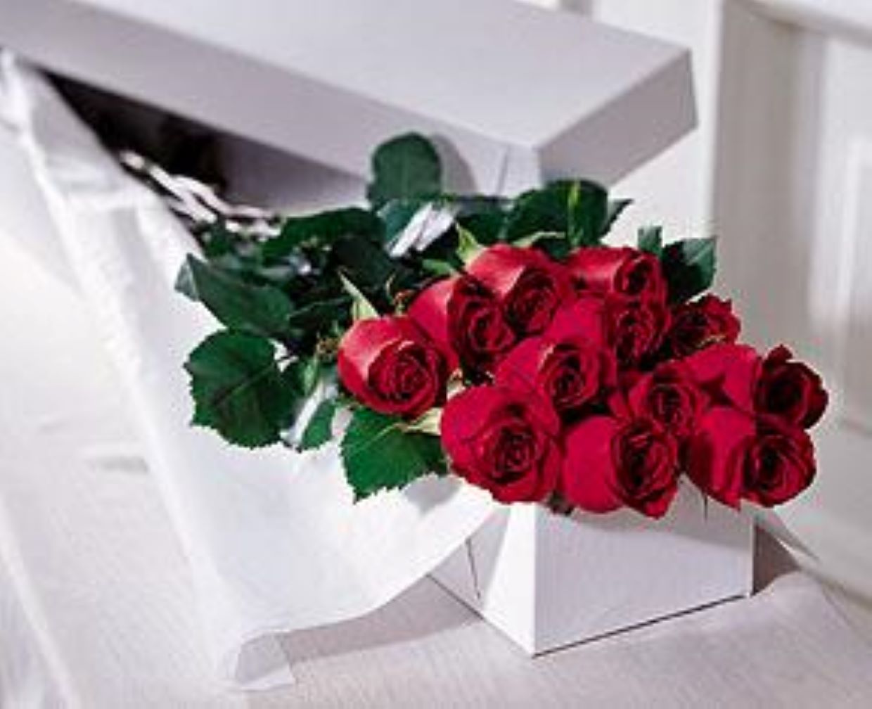 Boxed Red Roses – Kenyon Ave Floral Co Inc, Wakefield RI