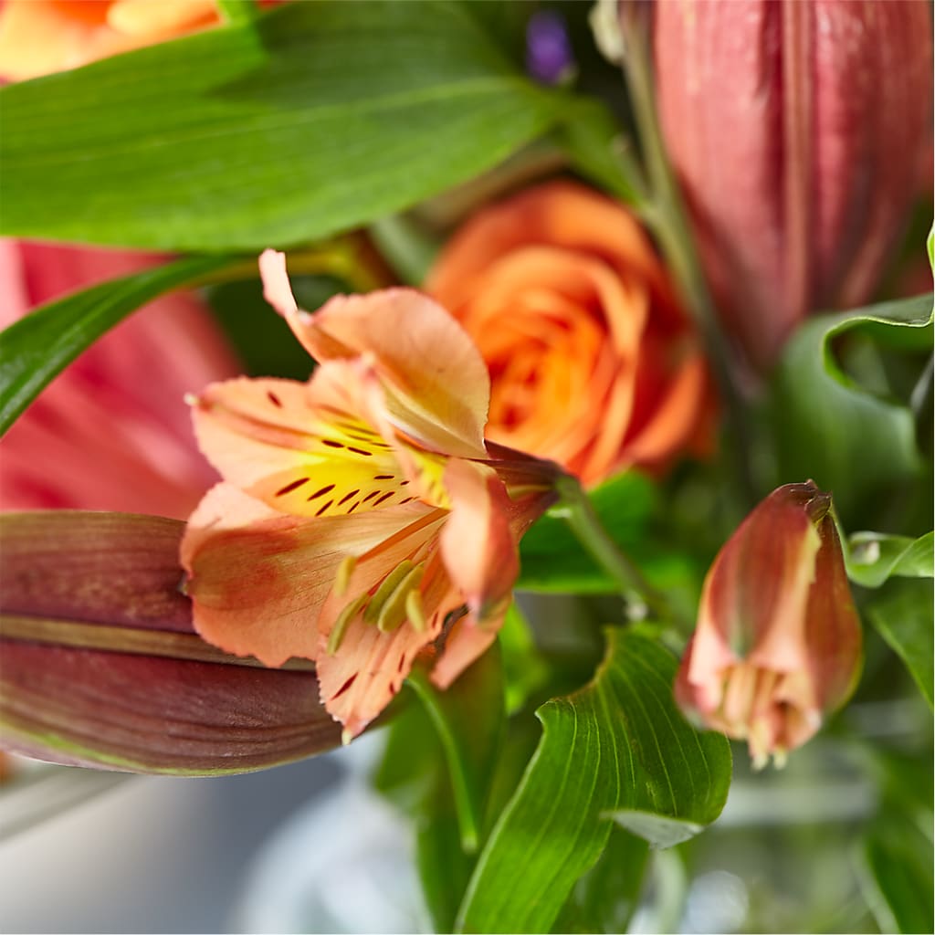 Bold & Bright – A Florist Original –  Kenyon Ave Floral Co Inc, Wakefield RI