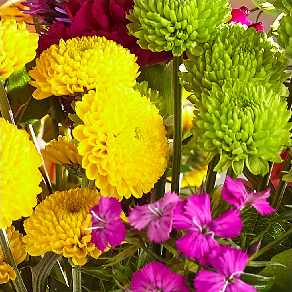 Bold & Bright – A Florist Original –  Kenyon Ave Floral Co Inc, Wakefield RI
