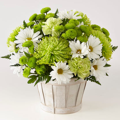 Lucky Charm Basket (Standard) –  Kenyon Ave Floral Co Inc, Wakefield RI