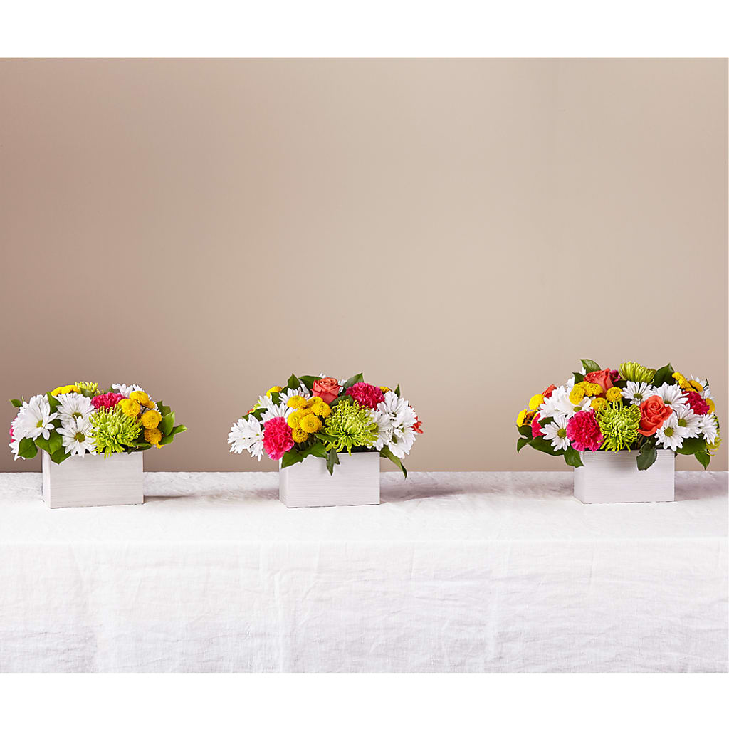 Sorbet Bouquet –  Kenyon Ave Floral Co Inc, Wakefield RI