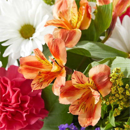 Oopsie Daisy Box Bouquet –  Kenyon Ave Floral Co Inc, Wakefield RI