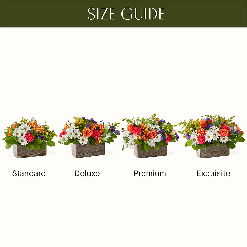 Oopsie Daisy Box Bouquet –  Kenyon Ave Floral Co Inc, Wakefield RI