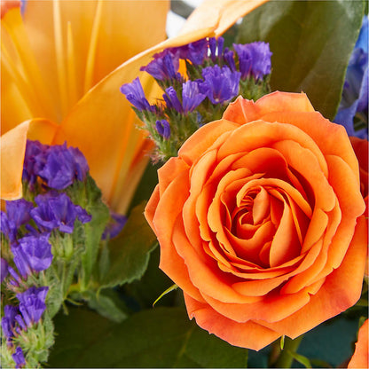 Radiant Citrus Box Bouquet –  Kenyon Ave Floral Co Inc, Wakefield RI