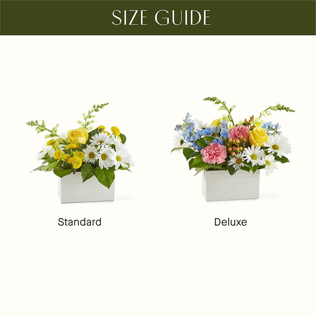 Sun Salutation Box Bouquet –  Kenyon Ave Floral Co Inc, Wakefield RI