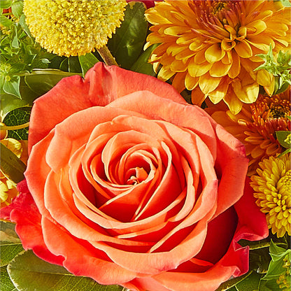 Gourdgeous Pumpkin –  Kenyon Ave Floral Co Inc, Wakefield RI