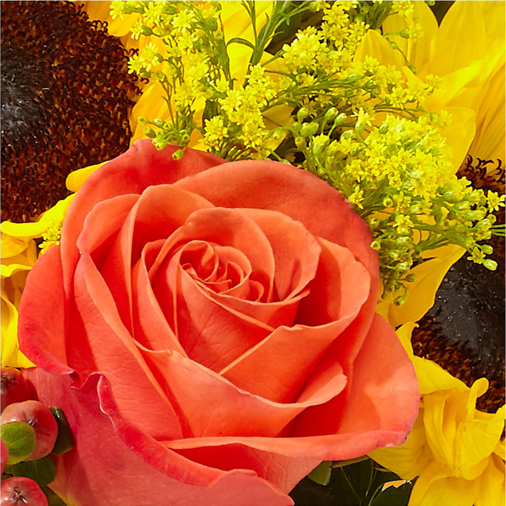 Pick of the Patch Pumpkin Bouquet –  Kenyon Ave Floral Co Inc, Wakefield RI