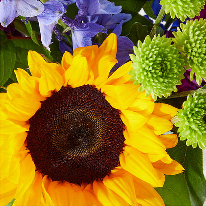Catching Rays Bouquet –  Kenyon Ave Floral Co Inc, Wakefield RI