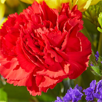 Brighter Days Bouquet –  Kenyon Ave Floral Co Inc, Wakefield RI