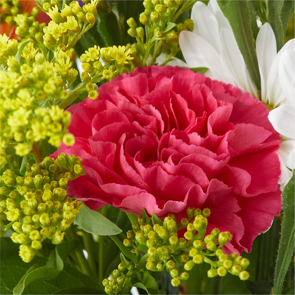 Oopsie Daisy Bouquet –  Kenyon Ave Floral Co Inc, Wakefield RI