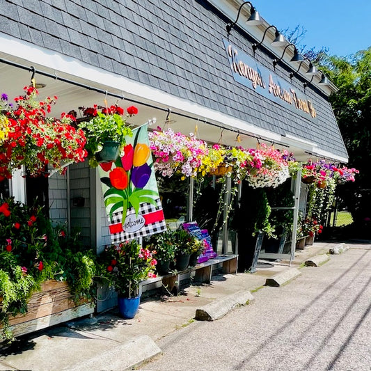 Outdoor Hanging Baskets