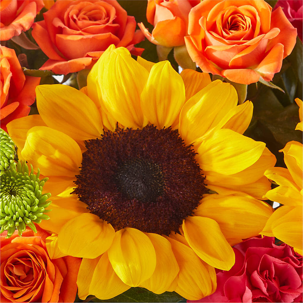 Sun-drenched Blooms Box Bouquet –  Kenyon Ave Floral Co Inc, Wakefield RI
