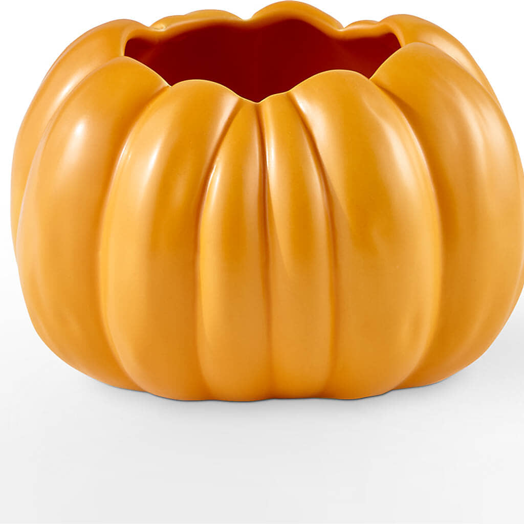 Golden Gourd Pumpkin Bouquet –  Kenyon Ave Floral Co Inc, Wakefield RI