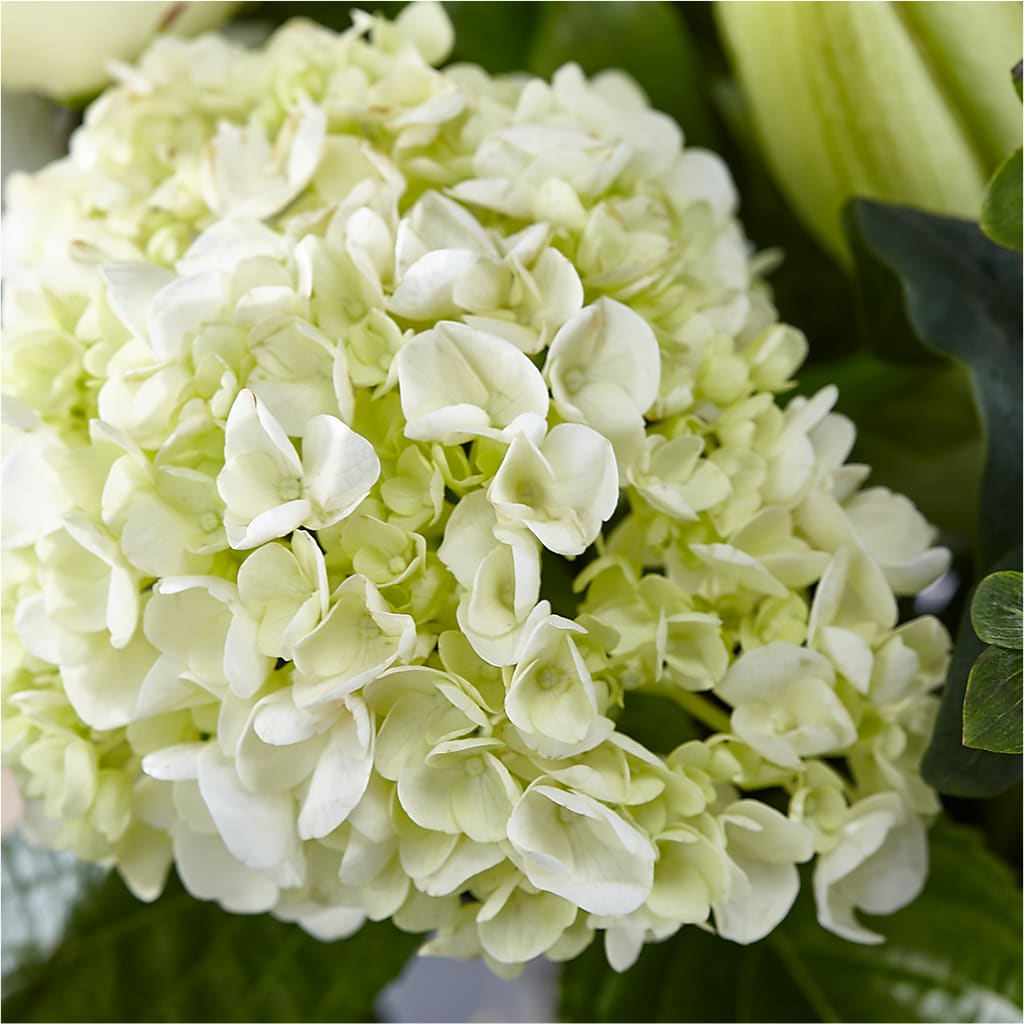 Classic Ivory – A Florist Original –  Kenyon Ave Floral Co Inc, Wakefield RI