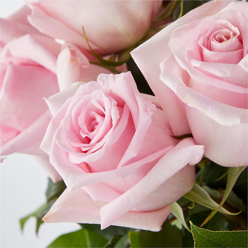 Picture Perfect Pink Rose Bouquet –  Kenyon Ave Floral Co Inc, Wakefield RI