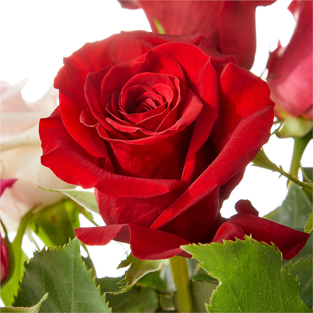 Love Notes Rose Bouquet –  Kenyon Ave Floral Co Inc, Wakefield RI