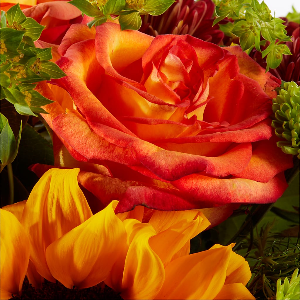 Harvest Festival Bouquet –  Kenyon Ave Floral Co Inc, Wakefield RI