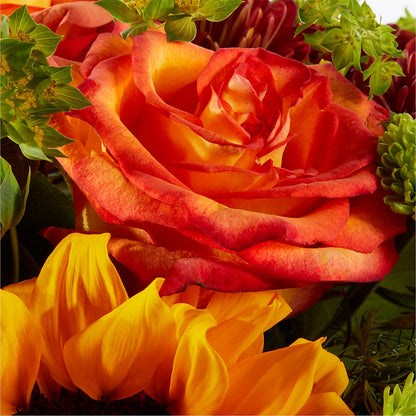 Harvest Festival Bouquet –  Kenyon Ave Floral Co Inc, Wakefield RI