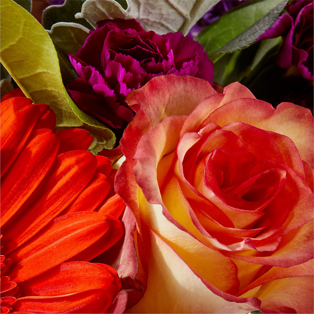 Sangria Bouquet –  Kenyon Ave Floral Co Inc, Wakefield RI