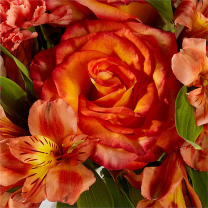 Apricot Glow Bouquet –  Kenyon Ave Floral Co Inc, Wakefield RI