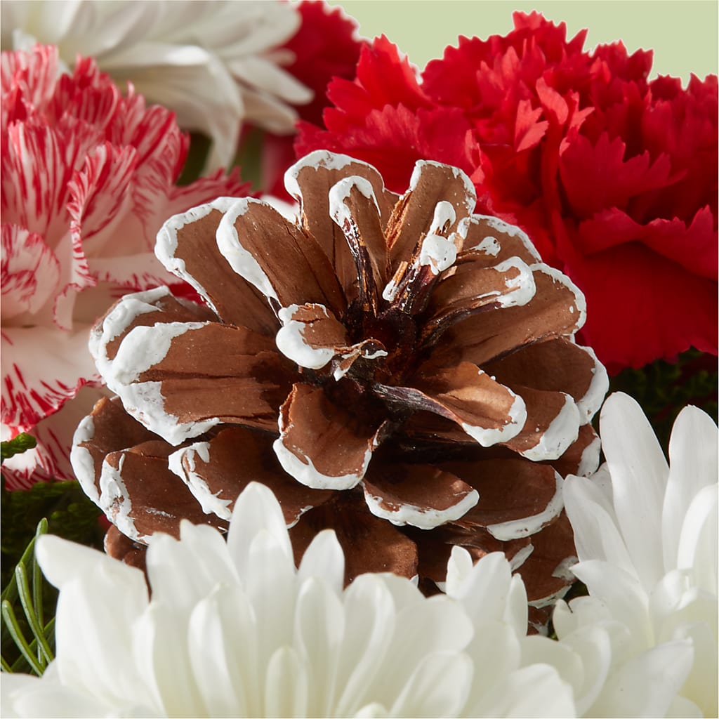 Candy Cane Lane Bouquet –  Kenyon Ave Floral Co Inc, Wakefield RI