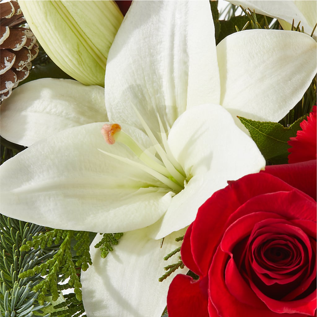Oh So Jolly Bouquet –  Kenyon Ave Floral Co Inc, Wakefield RI