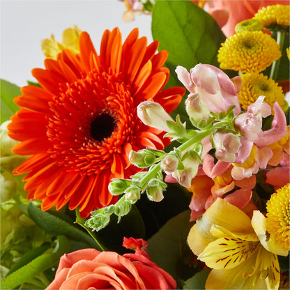 Autumn Sunshine Bouquet –  Kenyon Ave Floral Co Inc, Wakefield RI