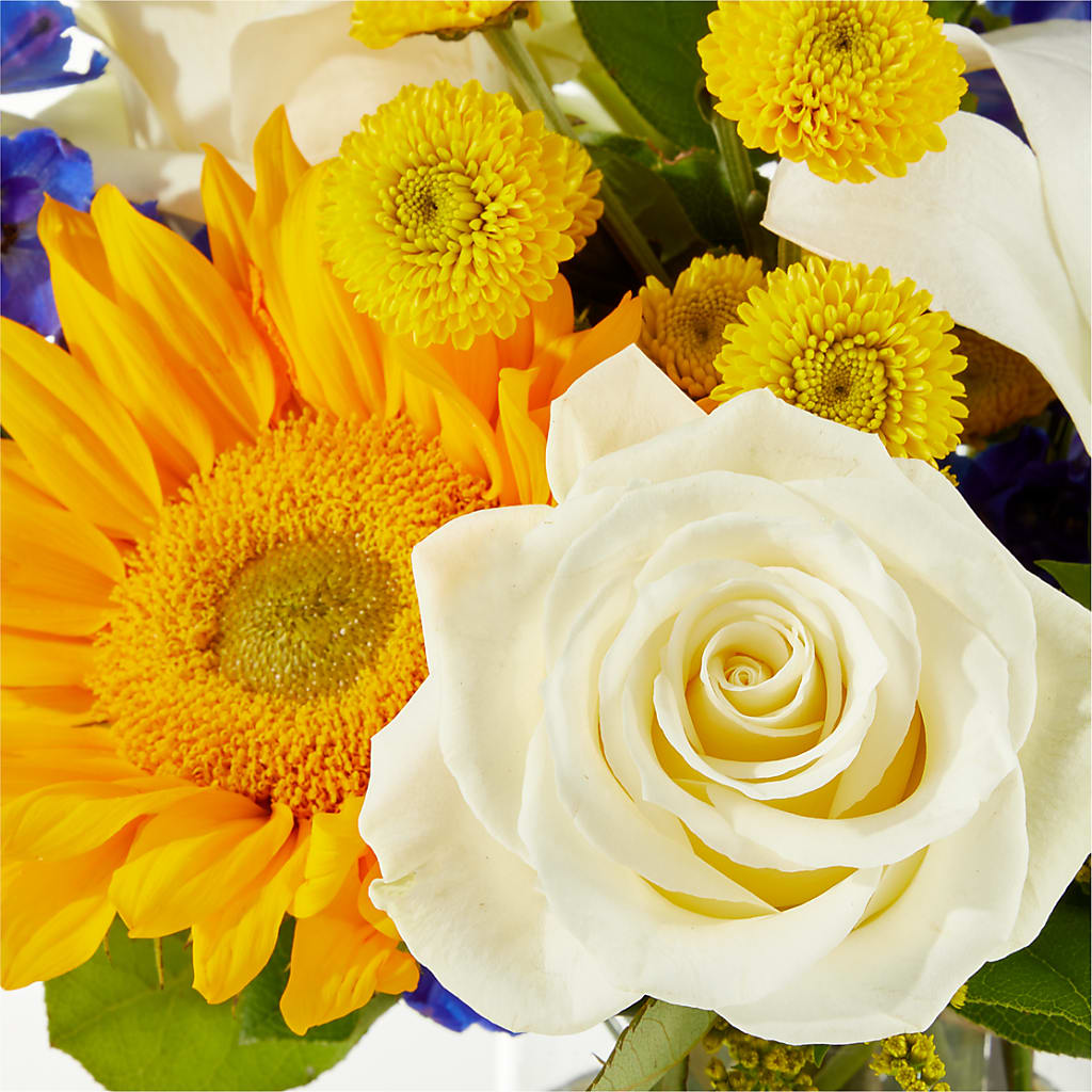 Stargazing Bouquet –  Kenyon Ave Floral Co Inc, Wakefield RI