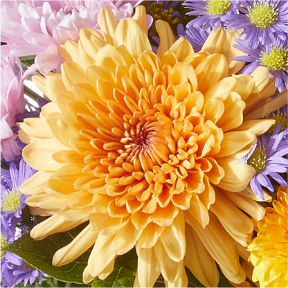 Countryside Bouquet –  Kenyon Ave Floral Co Inc, Wakefield RI