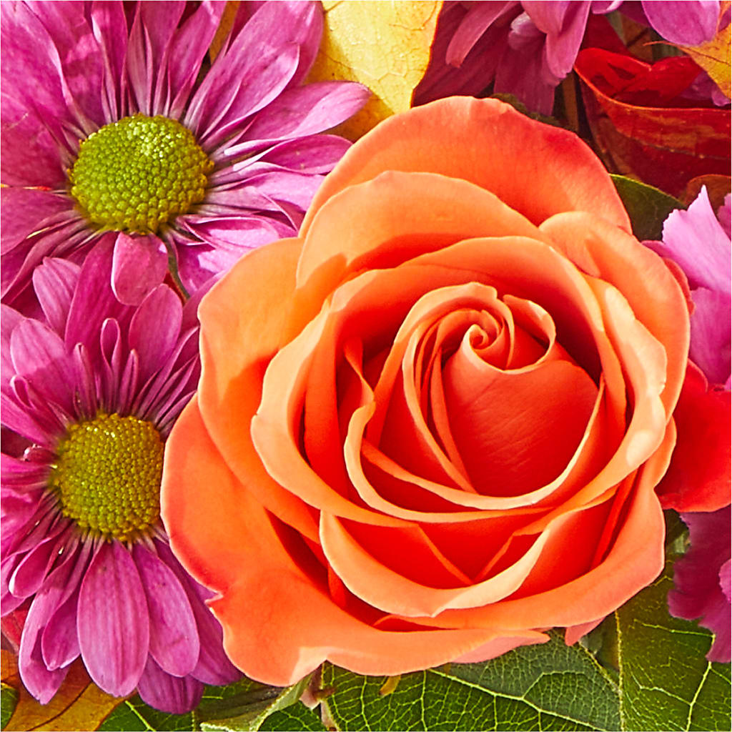 Mum's the Word Bouquet –  Kenyon Ave Floral Co Inc, Wakefield RI