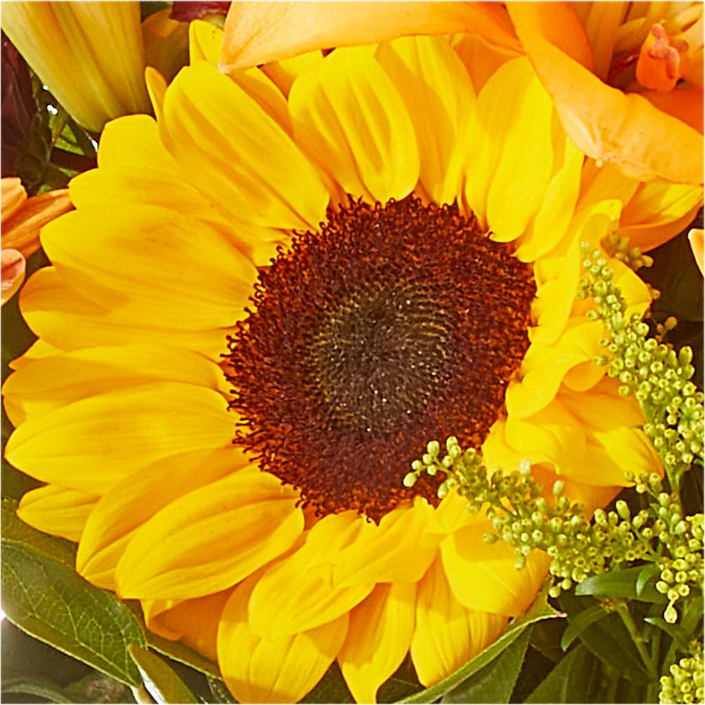 Seasons Change Bouquet –  Kenyon Ave Floral Co Inc, Wakefield RI