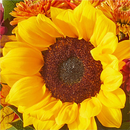 Sunny Side Bouquet –  Kenyon Ave Floral Co Inc, Wakefield RI