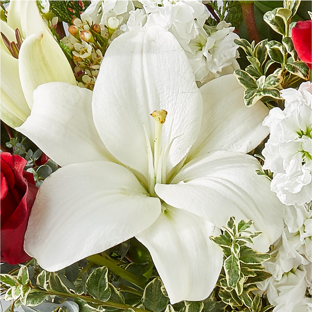 Twinkle Lights Bouquet –  Kenyon Ave Floral Co Inc, Wakefield RI