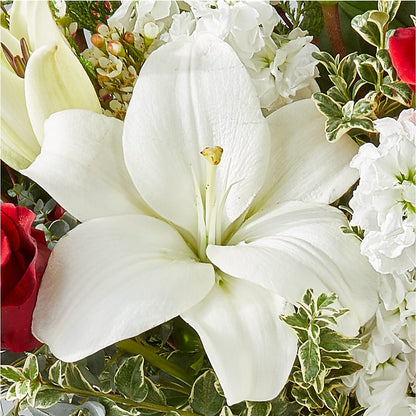 Twinkle Lights Bouquet –  Kenyon Ave Floral Co Inc, Wakefield RI