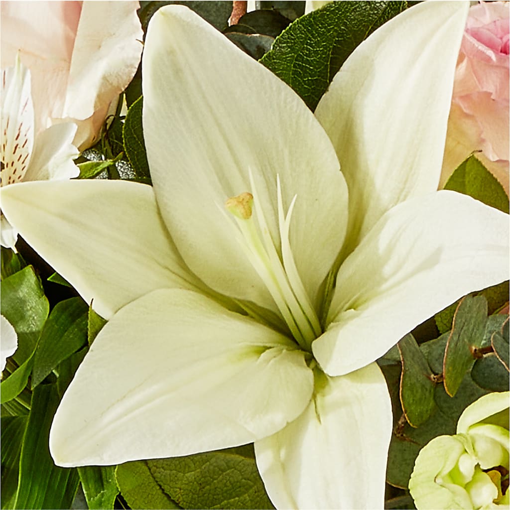 Ballet Slippers Bouquet –  Kenyon Ave Floral Co Inc, Wakefield RI