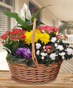 Blooming Garden Basket